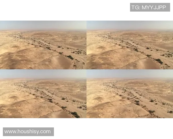 探索弗格的魅力与影响力:从历史到现代的全景视角